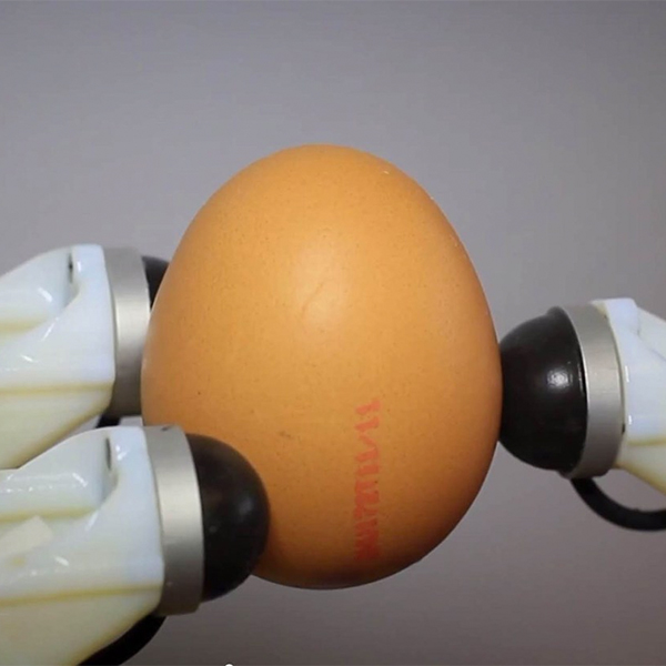 робот, сенсоры, стратап, Венгерская компания создает чувствительные пальцы для роботов